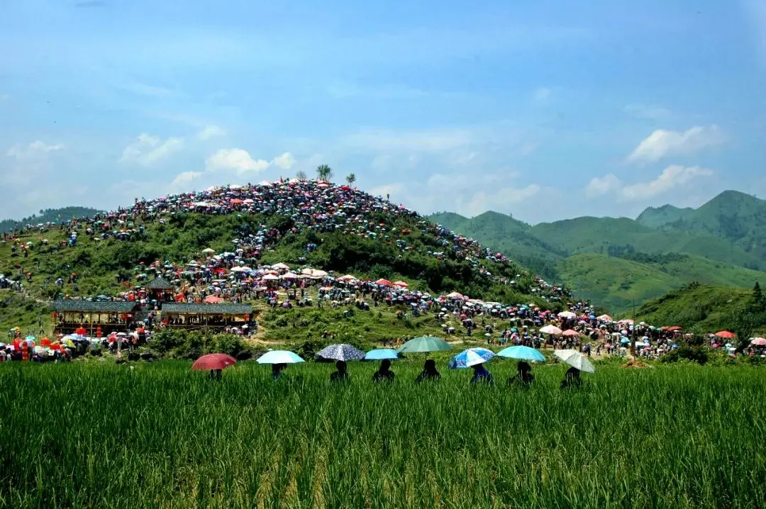 黔南：推进旅游产业化 共促旅游大提质