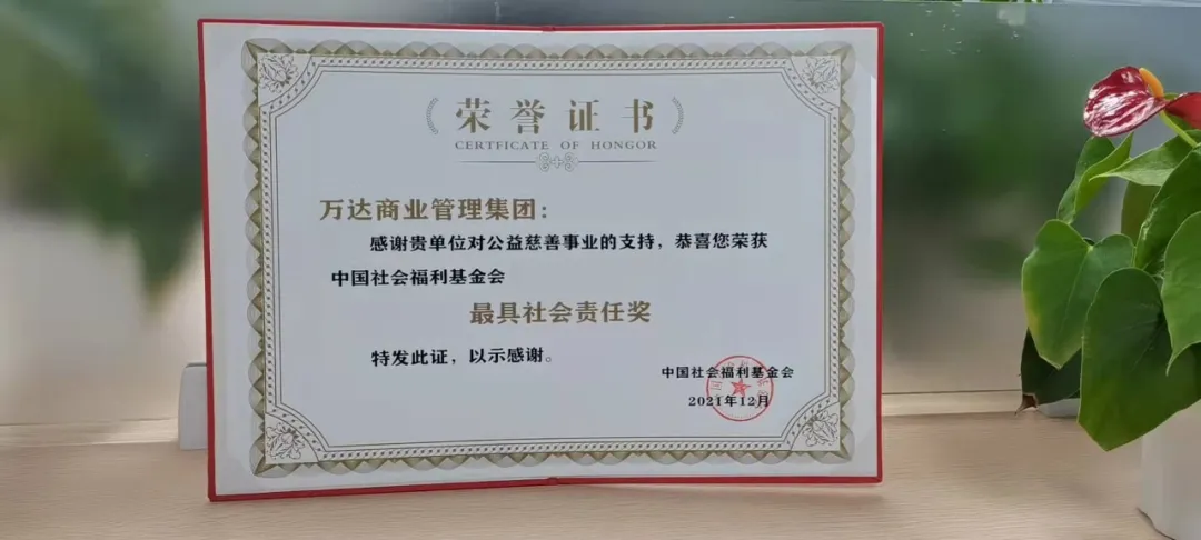 万达商业管理集团荣获中国社会福利基金会2021年社会责任奖