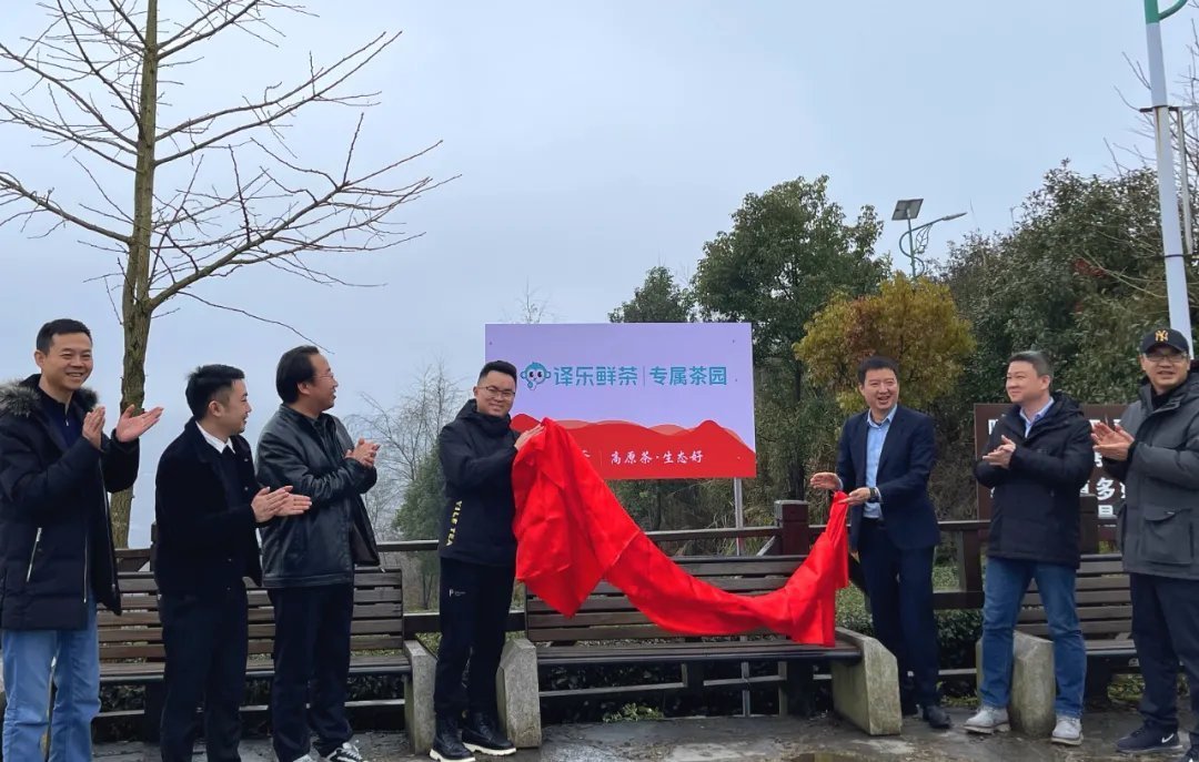 共同发展贵州新茶饮 贵茶集团与译乐鲜茶签订战略合作协议
