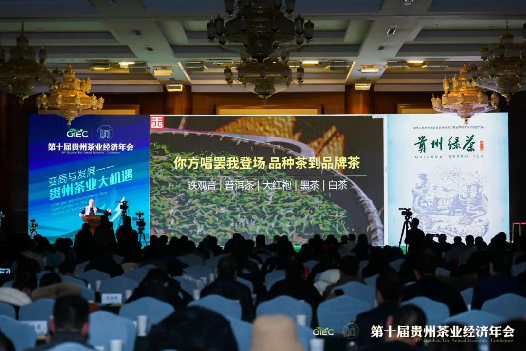 第十届贵州茶业经济年会侧记——盛会彰显贵州茶业发展新机遇