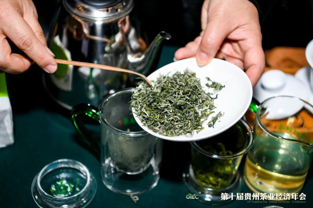 「品牌人物」王志纲：阅尽风华话黔茶