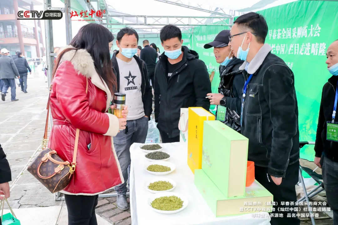 春天的味道从这里开始，首届贵州（晴隆）早春茶全国采购商大会拉开帷幕