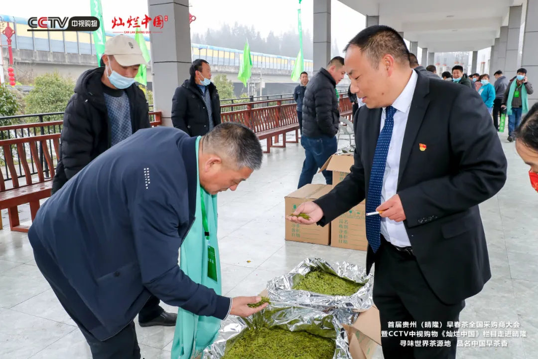 春天的味道从这里开始，首届贵州（晴隆）早春茶全国采购商大会拉开帷幕