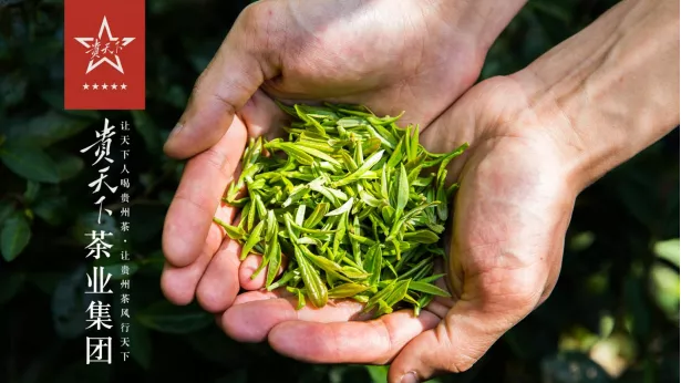 贵州贵天下茶业集团有限责任公司获“观山湖区2021年度重点行业优秀成长型企业”荣誉称号
