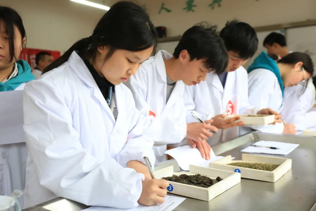贵州省茶文化研究会2022年首期职业技能等级认定考核在湄潭县举行