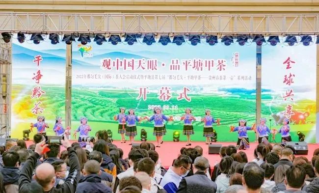 平塘县第七届“都匀毛尖·平塘甲茶——贵州春茶第一壶”系列活动开幕