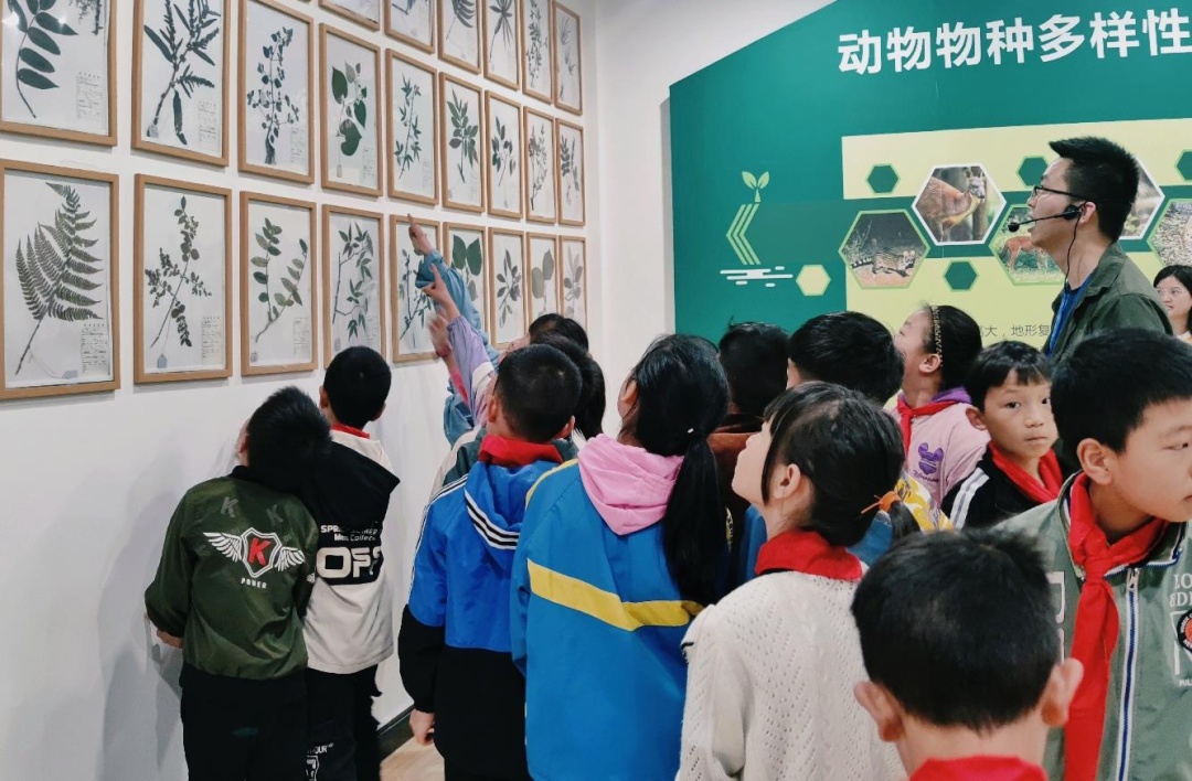 贵州首批省级自然教育基地名单出炉