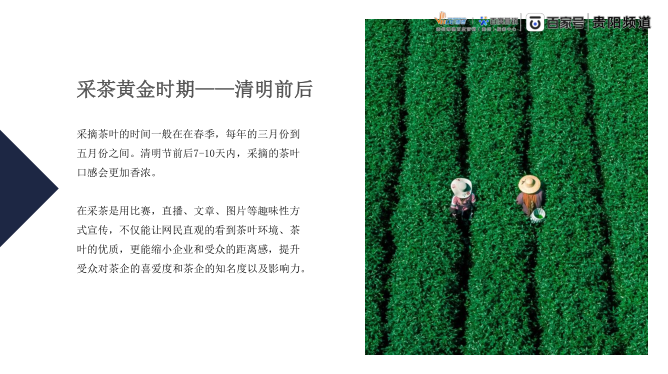 贵州绿茶 & 百度丨“贵州寻茶季”线上宣传推广活动火热招募中！