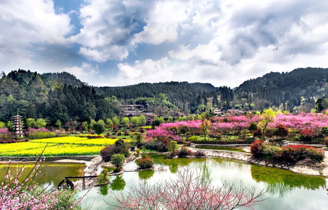 春日寻芳何处去？遵义专属赏花地图新鲜出炉，赶紧收藏~