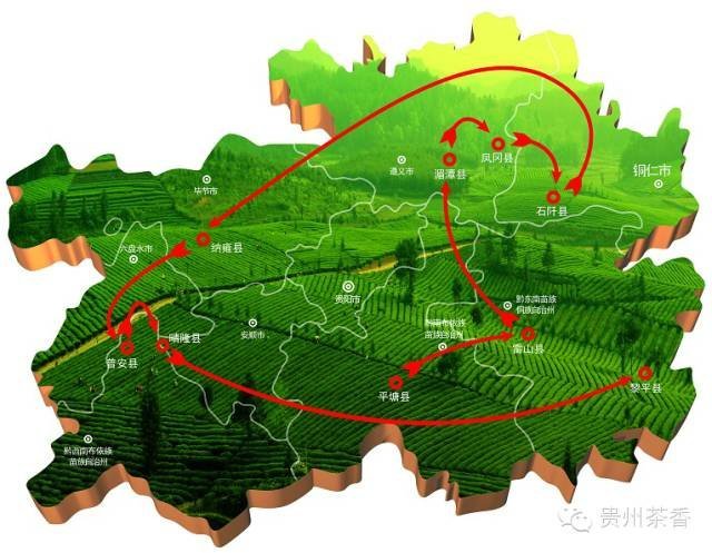 这个春天去哪里采上好的春茶呢？这条攻略告诉你真相