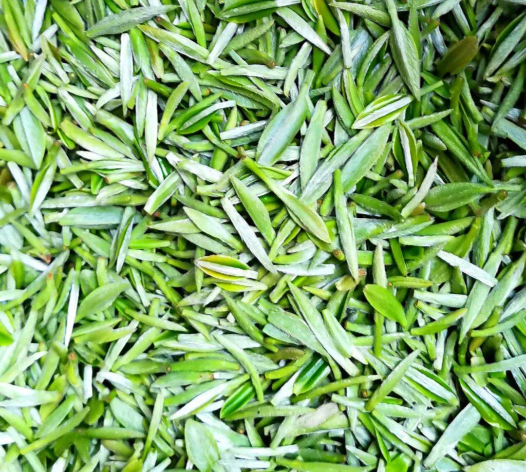 兰馨茶业新茶上市啦！