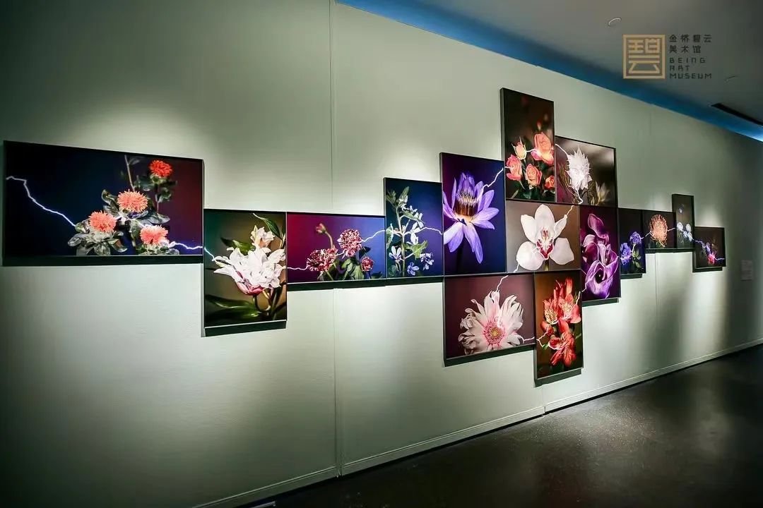 「艺起前行」特别的一天，看一场特别温暖的展览｜云美展