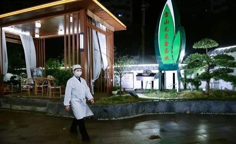 深夜的雷山银球茶加工厂里传递着春天的味道