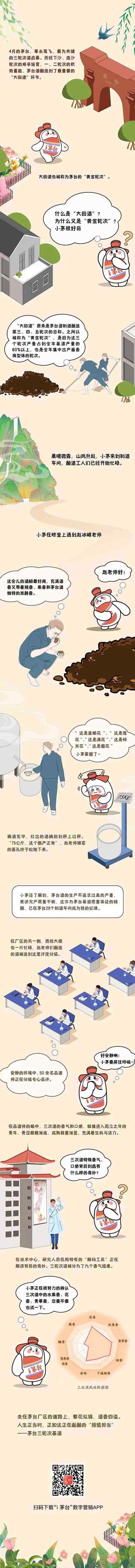 小茅带你去发现 黄金轮次——三轮次酒的生产