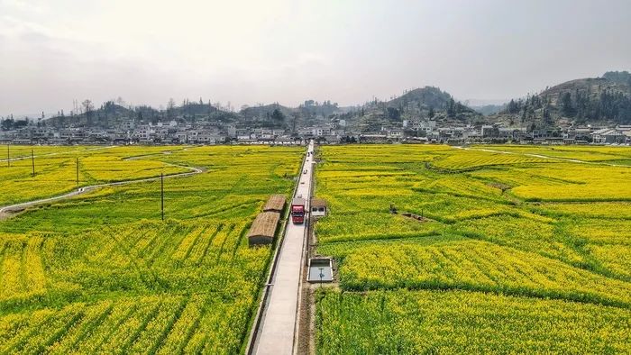 「品牌文旅」宿人说丨竹俚别院：藏在金海雪山内的别致风景 给旅人一个“家”