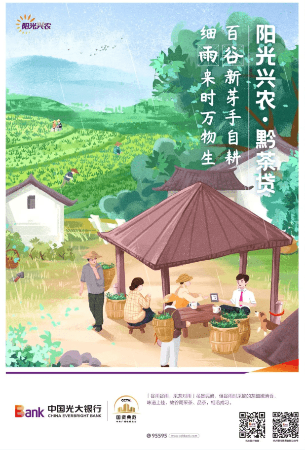 为茶企注入金融活力！光大银行推出“黔茶贷”