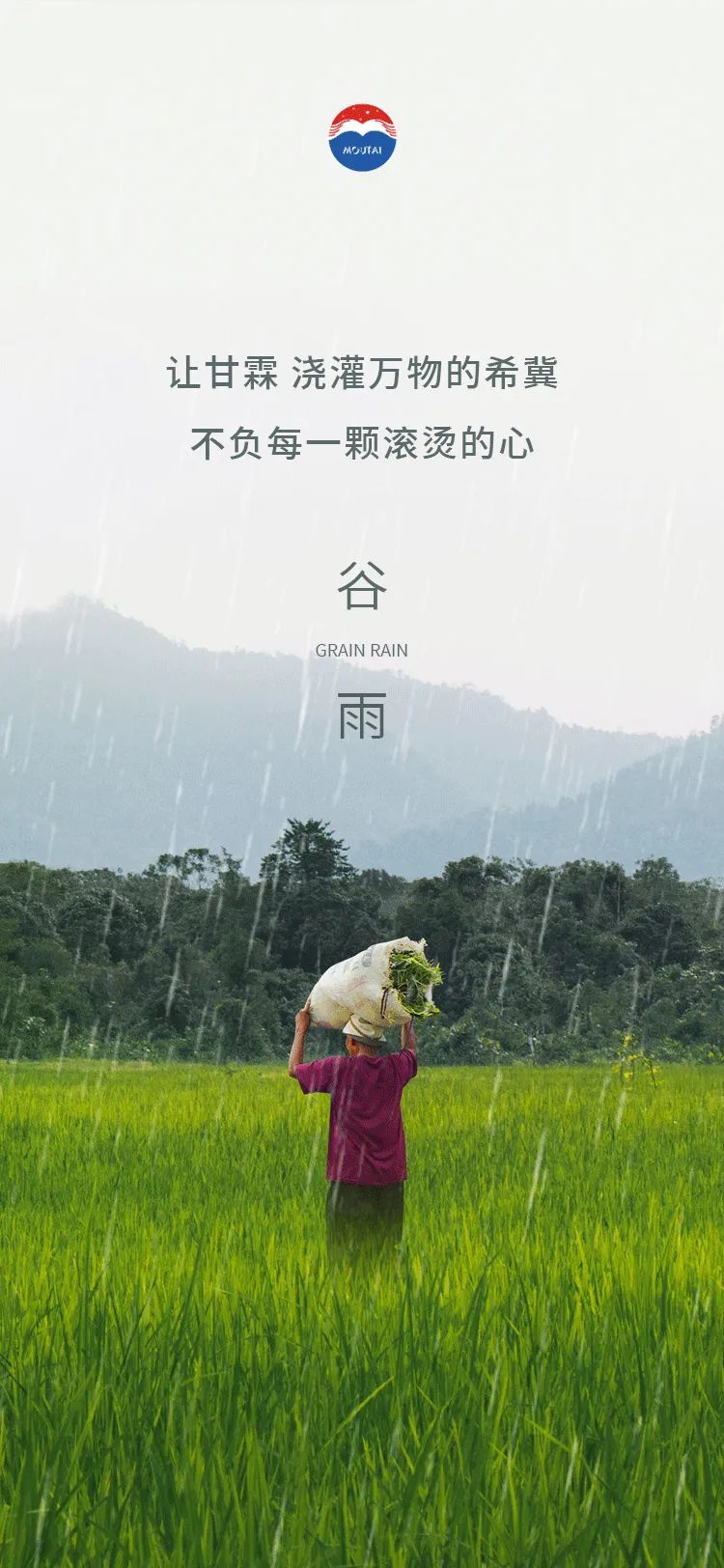 谷雨茅台·我们一起酿未来