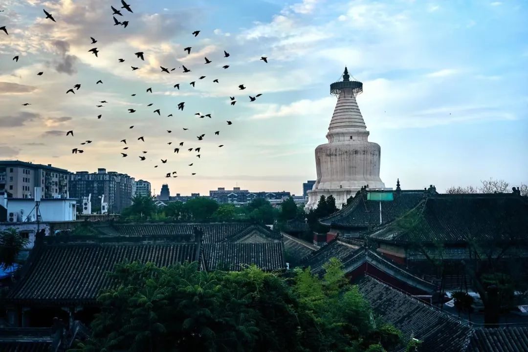 《潮北京-北京网红打卡地攻略》2.0版首发，打开一本书，玩转一座城