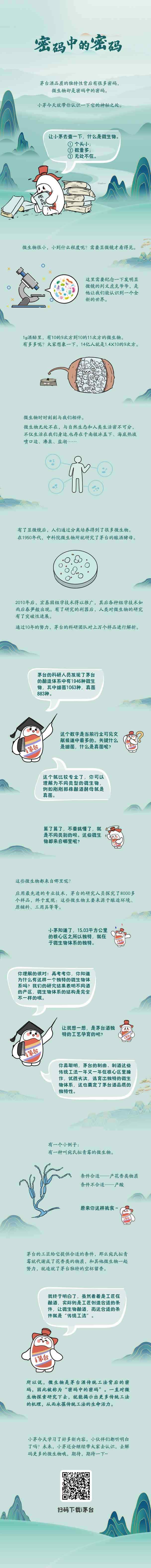 小茅带你去发现——密码中的密码