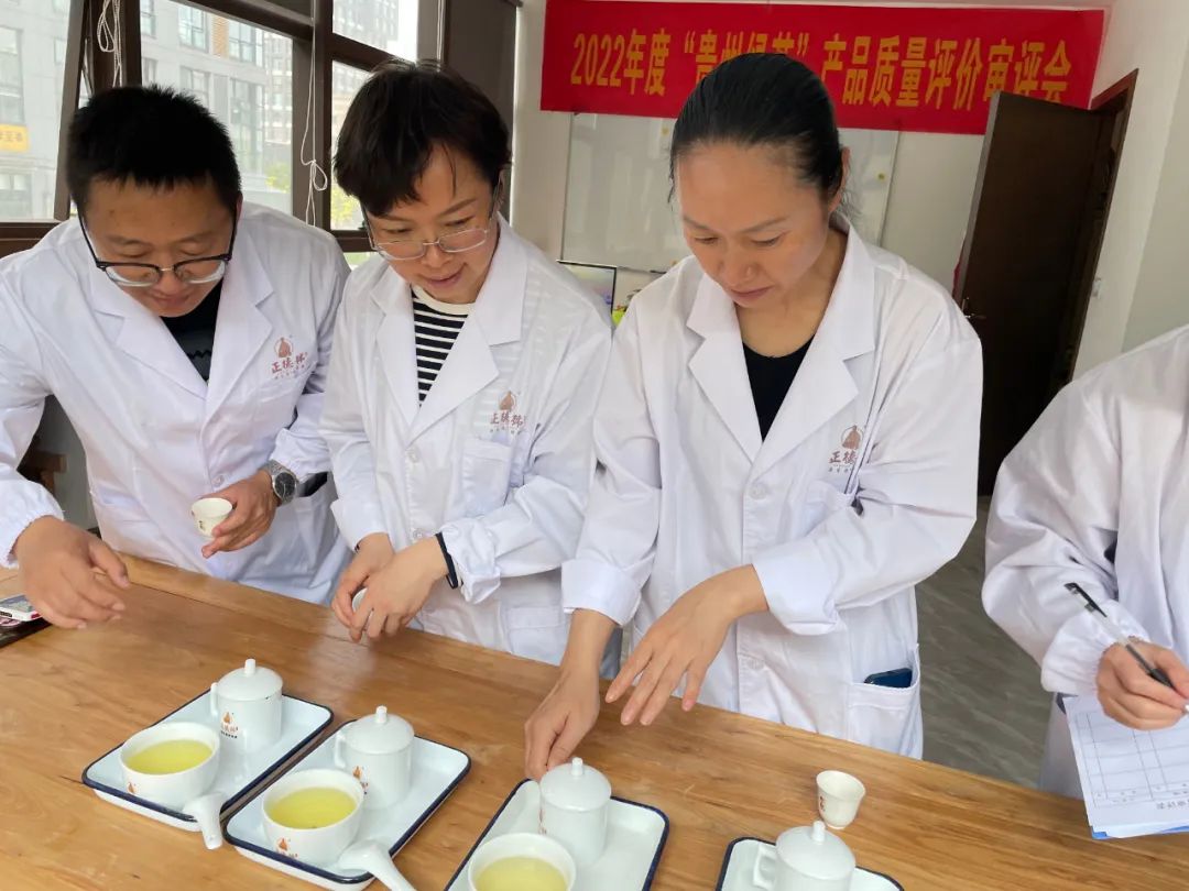 2022年“贵州绿茶”产品质量推选评价审评会在贵阳举行