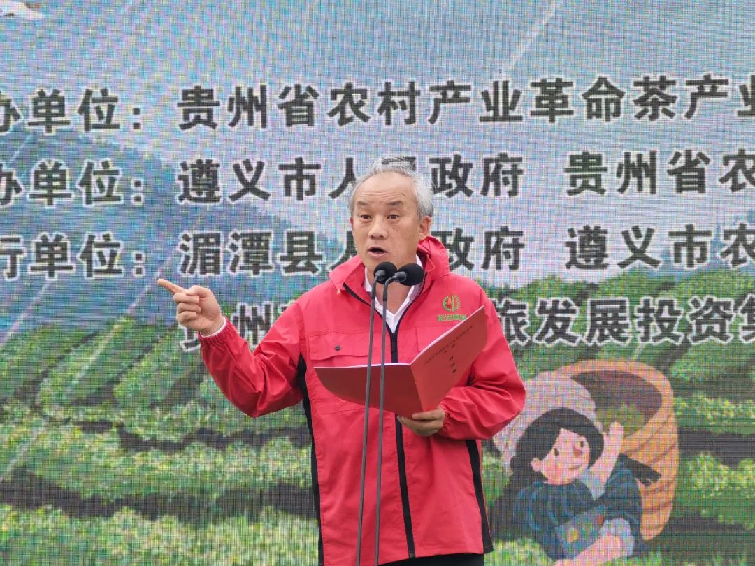 胡继承:勤劳的双手开启了贵州茶的春天