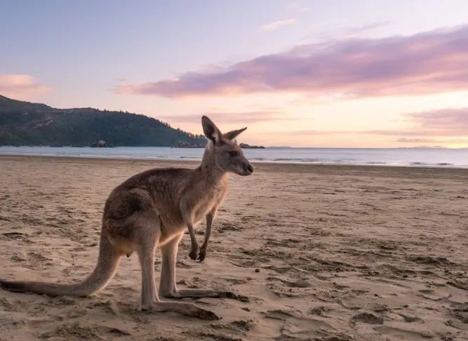 2022年澳大利亚旅游交易会再创“澳”式新机遇 携手全球旅游业者共谱赴澳旅业美好蓝图