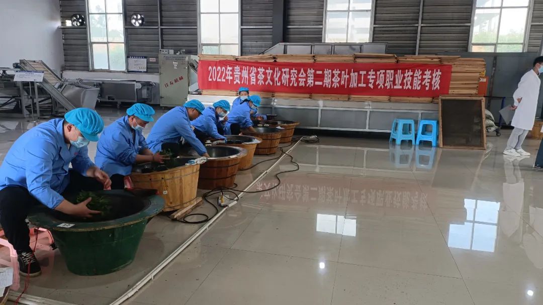 贵州省茶文化研究会2022年第二期茶叶加工专项职业技能考核在湄潭举行