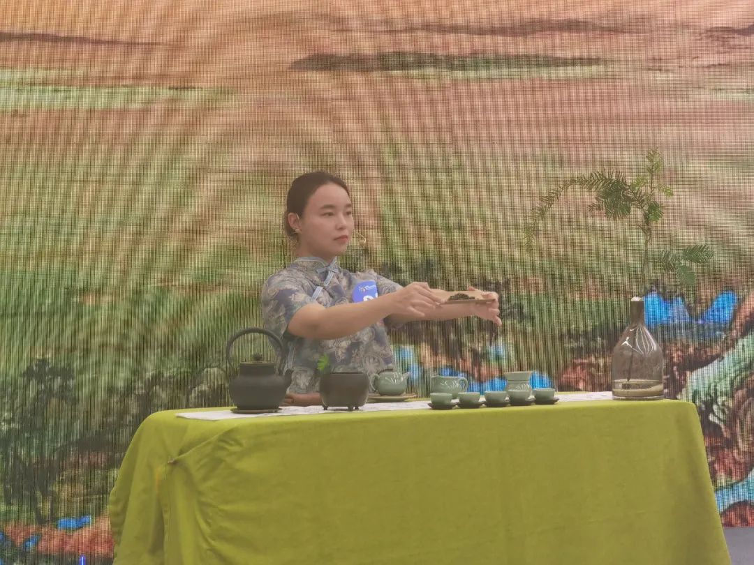 贵州省第一届职业技能大赛茶艺（国赛）在贵阳开赛