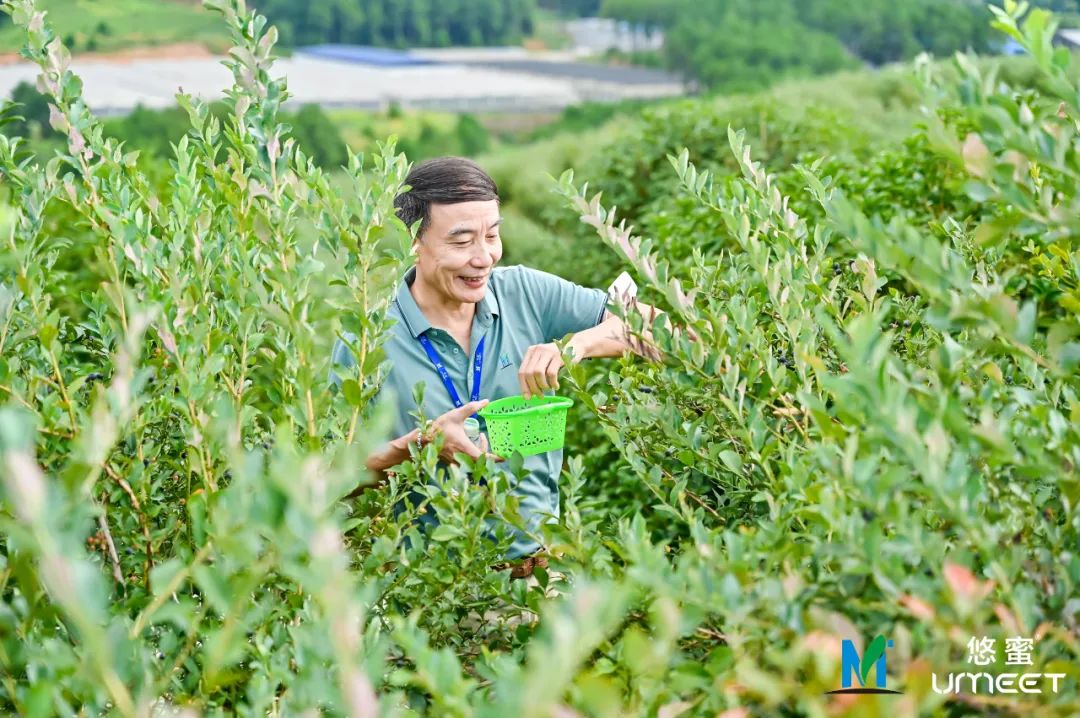 云上生态 灿烂启航 第二届茅台悠蜜节举行 茅台家族又添美产品