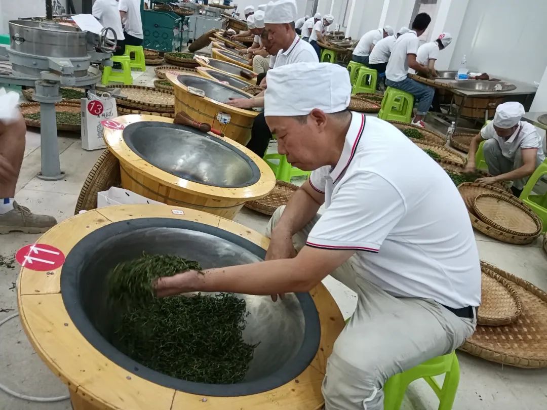 2022年第五届全国农业行业职业技能大赛茶叶加工赛项贵州选拔赛在贵阳正式开赛