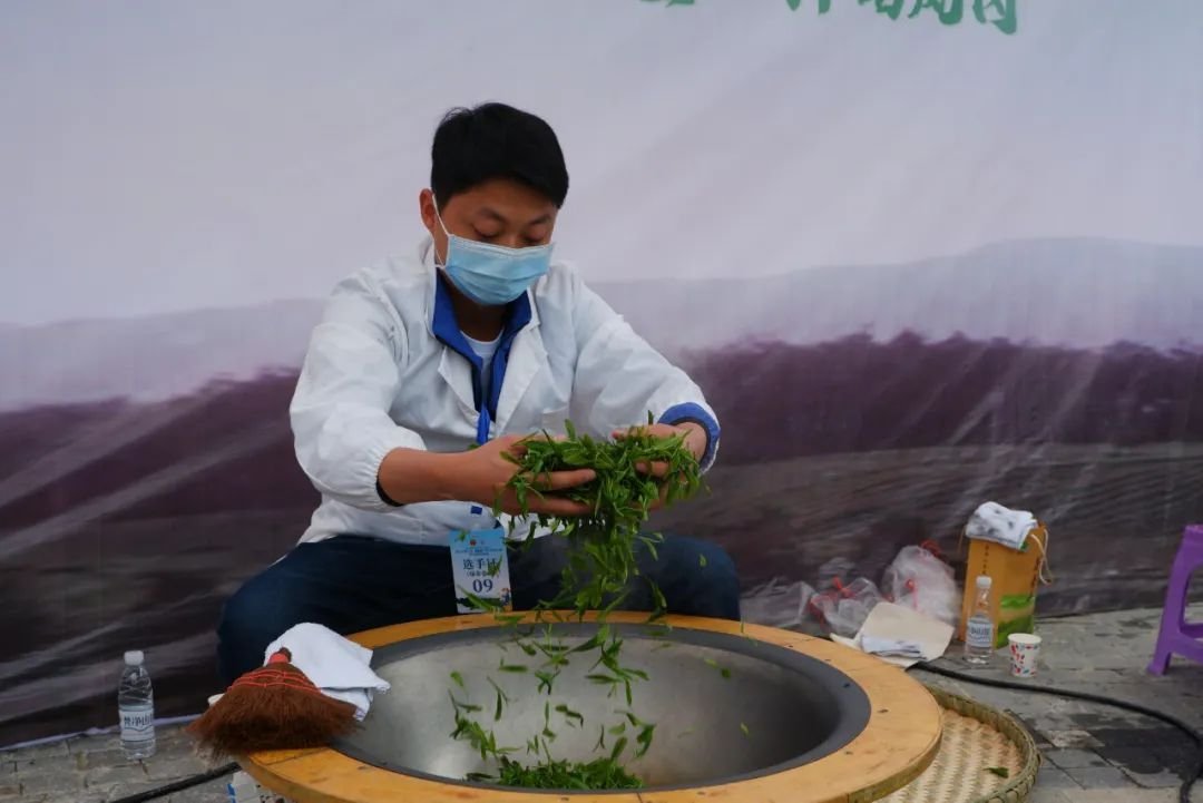 茶叶加工赛榜样丨唐彬彬：老师教我做好茶 我教农民奔小康
