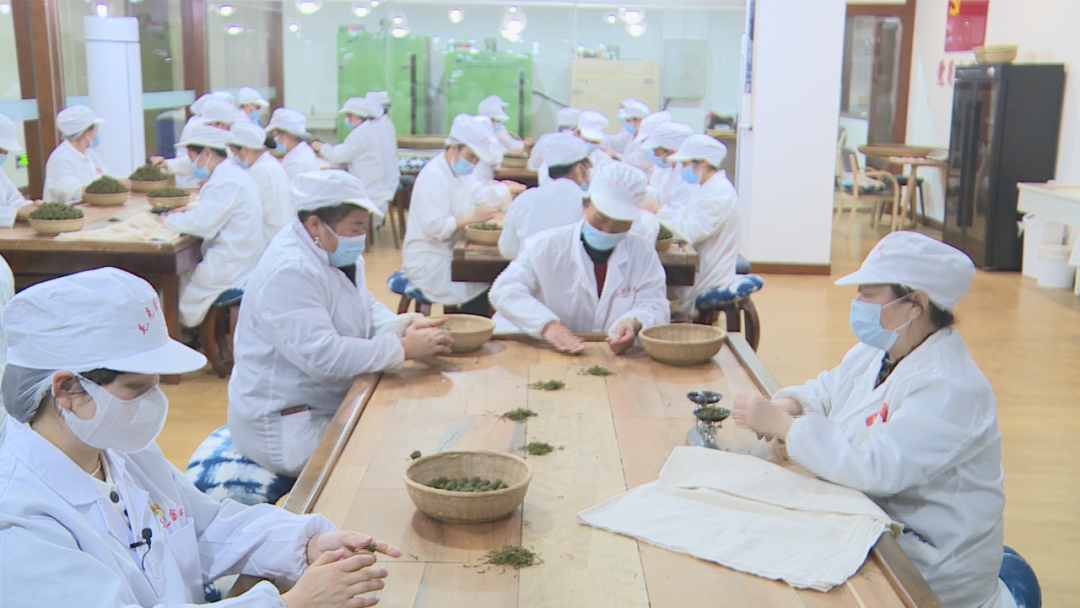雷山县毛克翕茶业有限公司：以茶兴业 助推地方经济发展