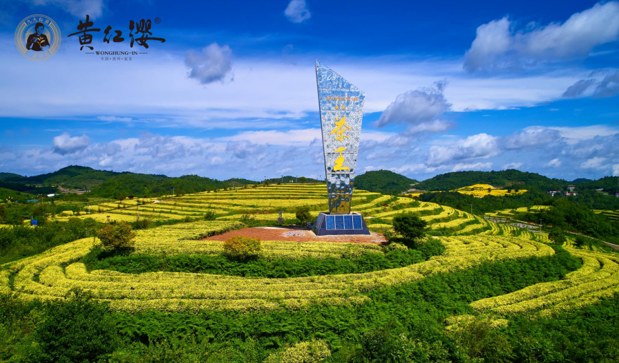 贵州黄红缨茶业携手瓮安打造“瓮安茗片”