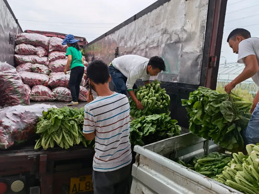 9月茶情丨疫情无情人有爱 深秋茶香暖人心