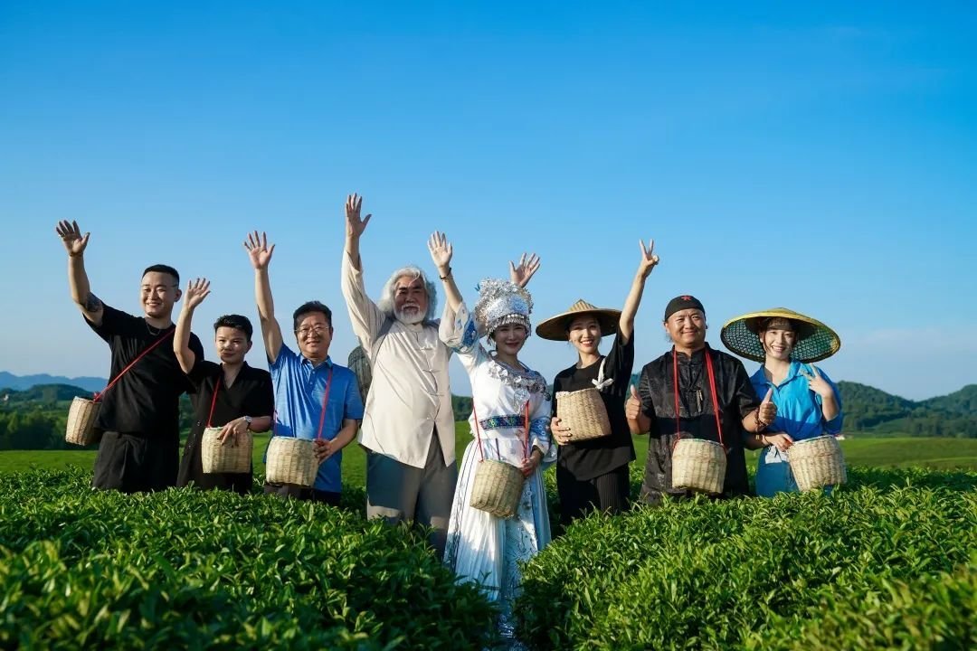 万亩茶山茶飘香 秋茶生产正当时