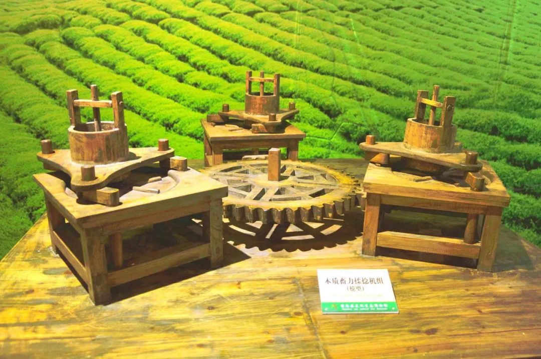 品牌人物丨周开迅——贵州茶文化的无畏者