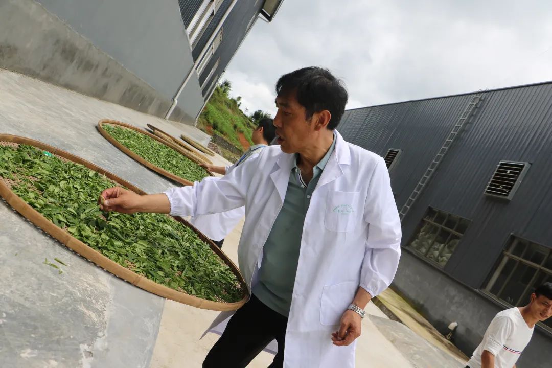 品牌人物·黔茶丨代传福:闯出来的致富经