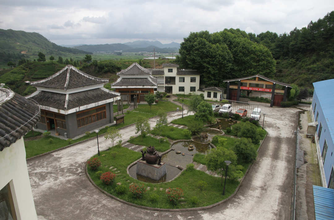 黔茶人物丨汪健：为黔茶出山修筑“高速路”