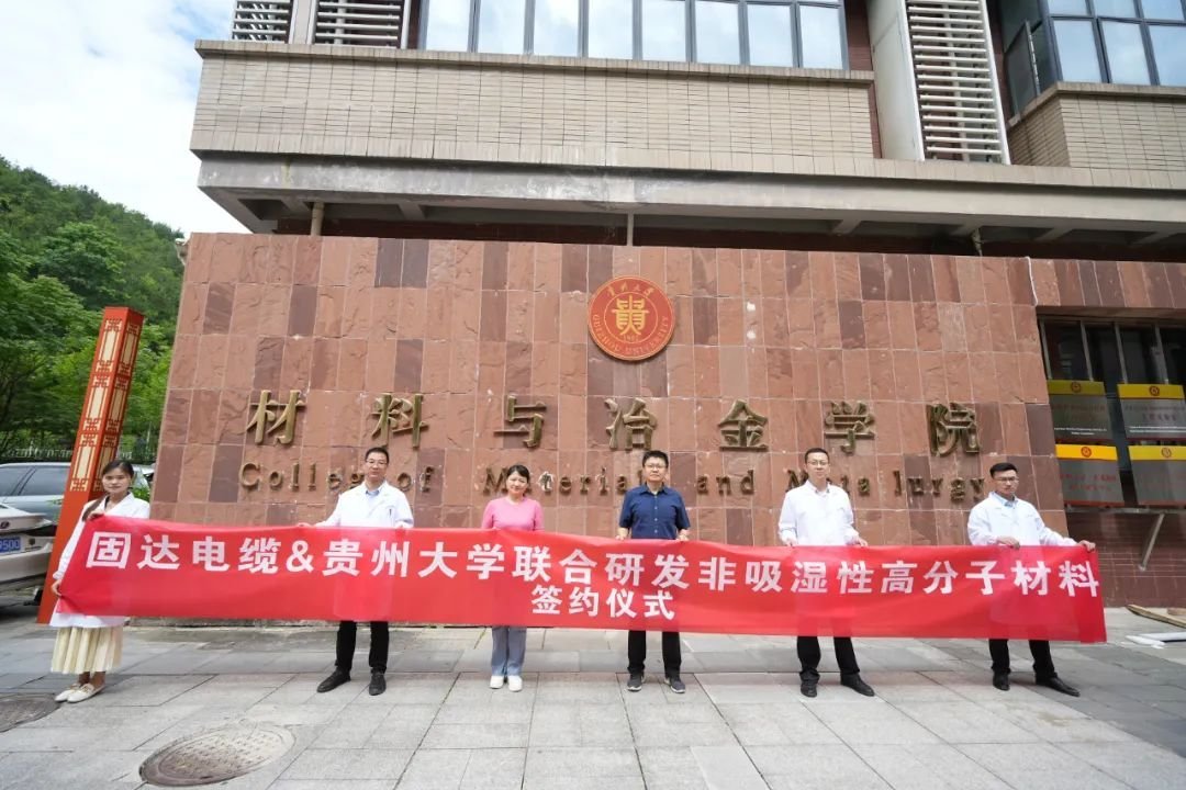 双十一家装电线选购策略，掌握这六大要点