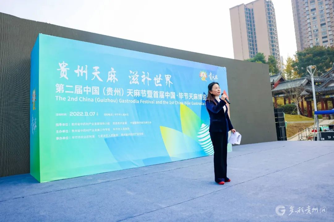 第二届中国（贵州）天麻节暨首届中国·毕节天麻博览会在七星关区召开