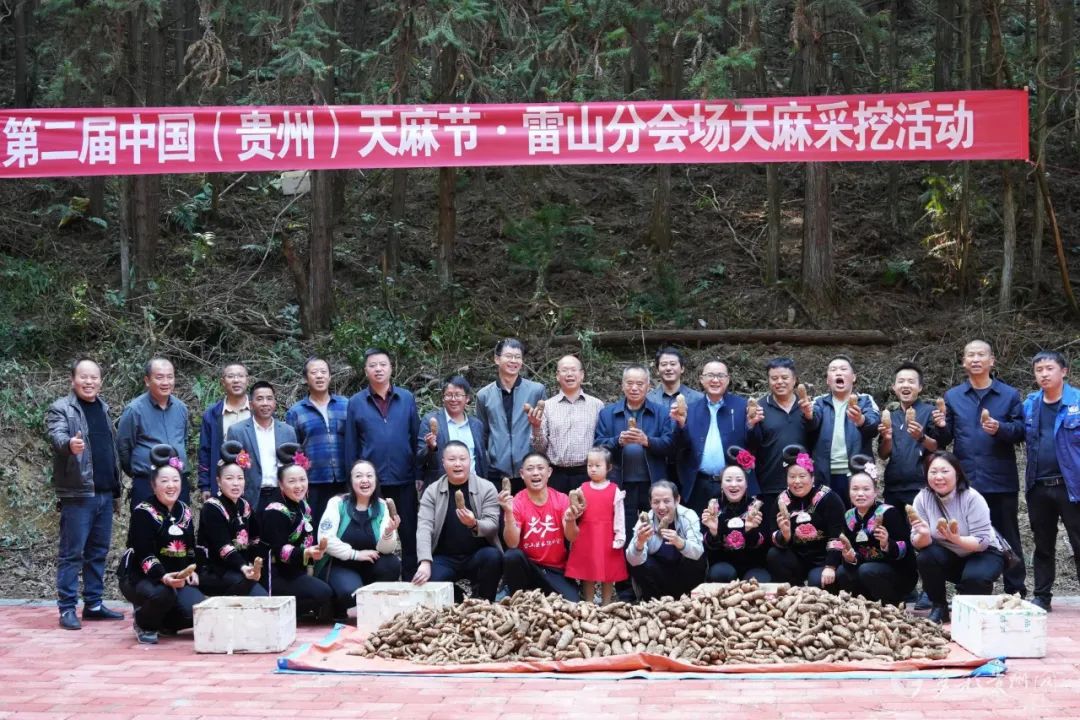 第二届中国（贵州）天麻节暨首届中国·毕节天麻博览会在七星关区召开