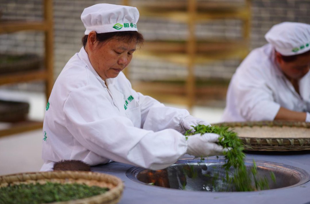 黔茶人物丨王静：做茶需要浪漫情怀