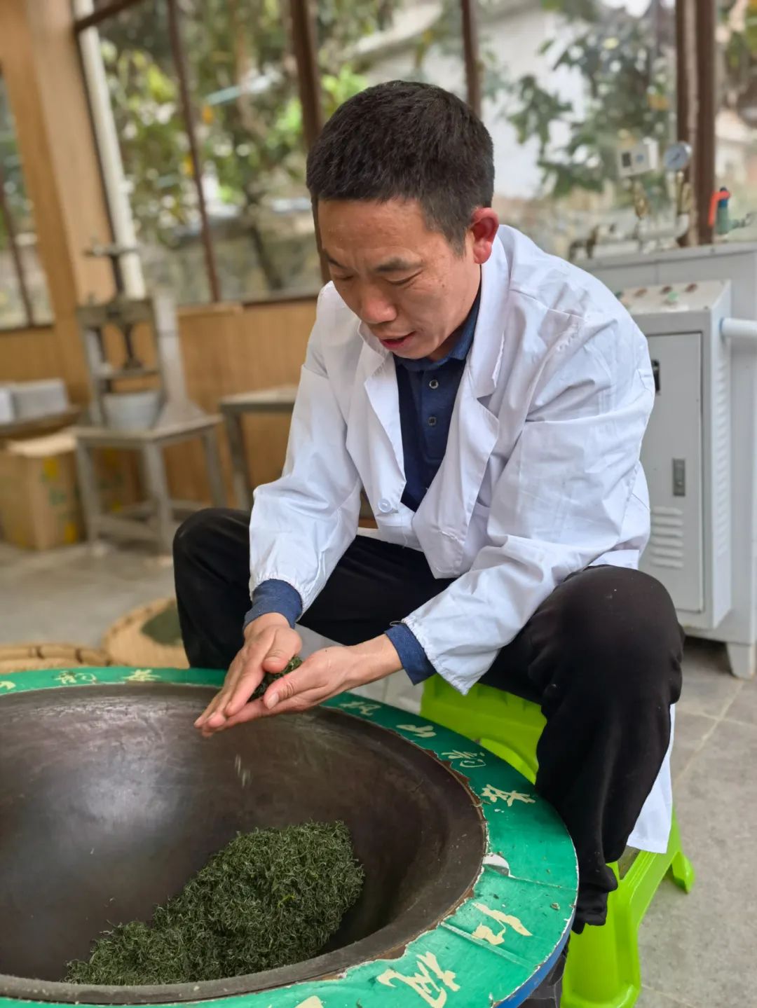 黔茶人物丨张卫民：红枫山青茶飘香