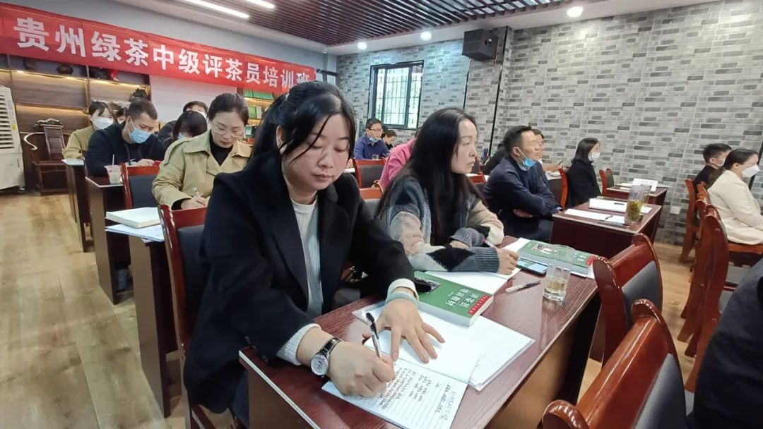 2022贵州绿茶评茶员第三期培训班第二日——读懂茶叶的色香味形