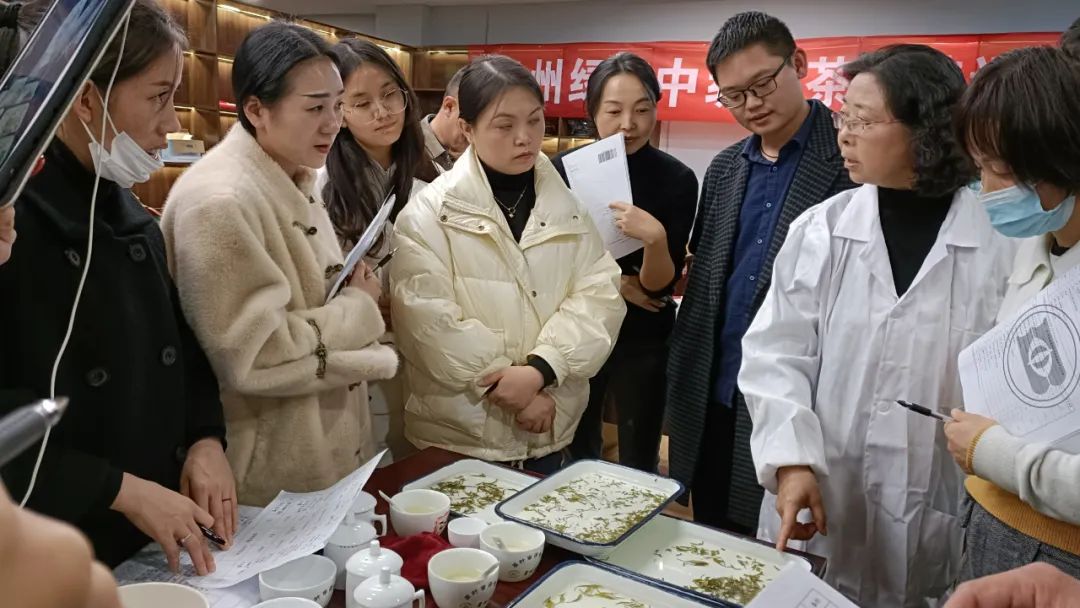 2022贵州绿茶评茶员第三期培训班第三日——品味茶叶的百味千姿