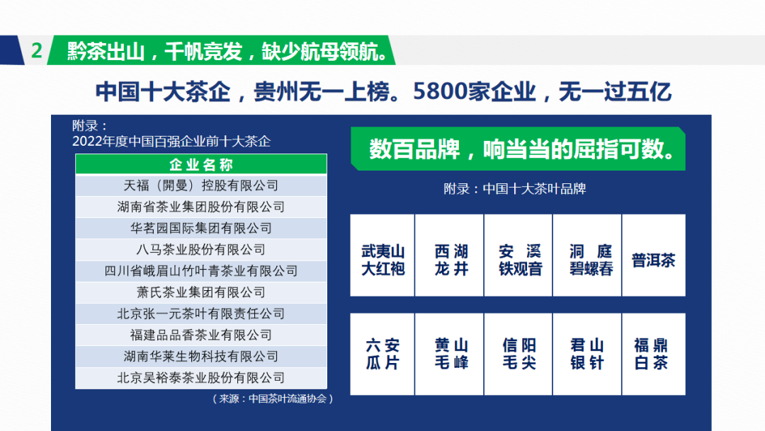 傅传耀：乡村振兴 茶有担当