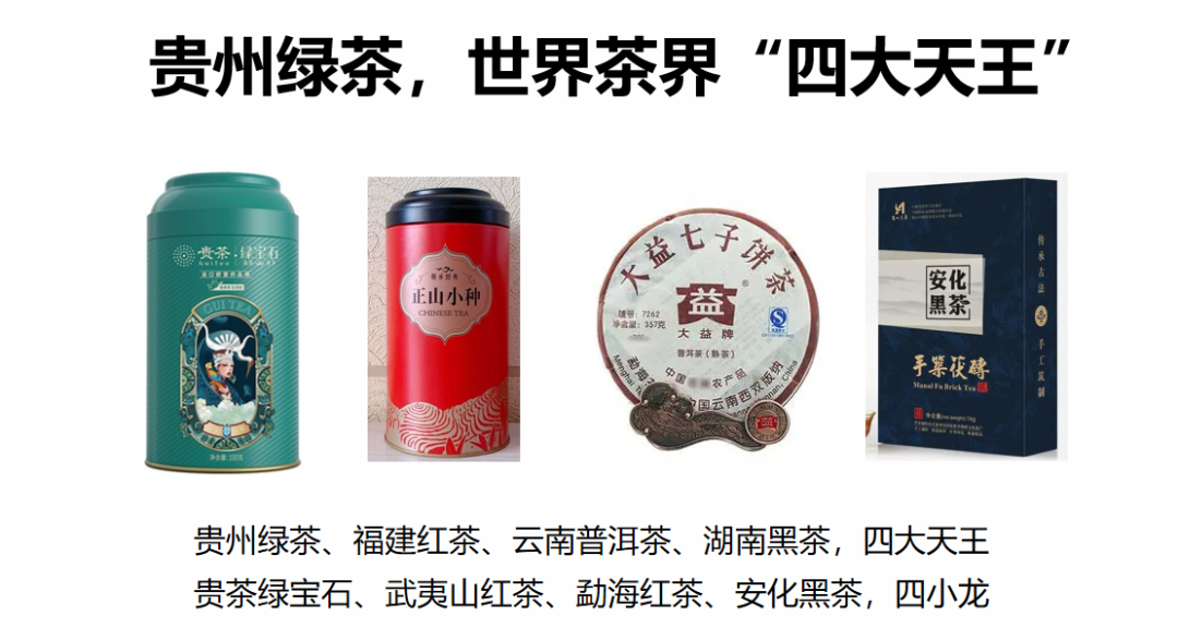娄向鹏：做好“非常1+6” 贵州茶叶品牌建设实现从大到伟大
