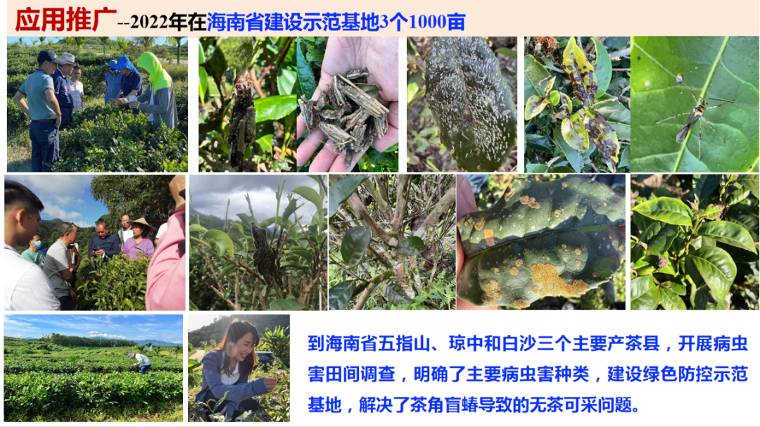 宋宝安：恪守“干净”是贵州茶产业发展的永恒追求