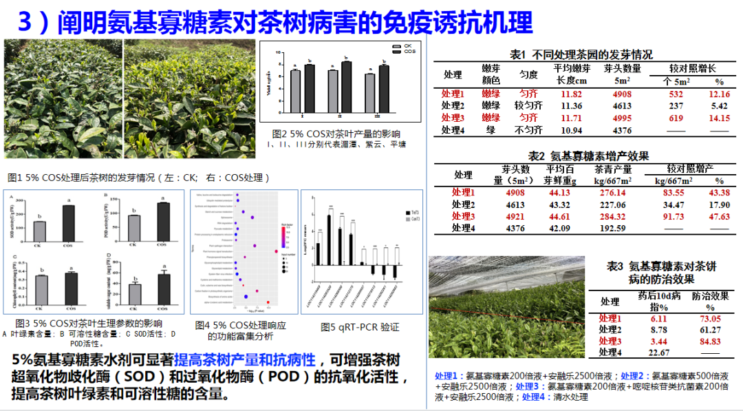 宋宝安：恪守“干净”是贵州茶产业发展的永恒追求