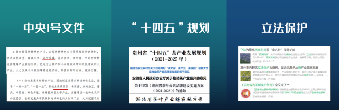 赖晓东：抓住后疫情时代关键节点 洞见贵州茶发展机遇